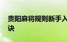 贵阳麻将规则新手入门 贵阳麻将技巧十句口诀 