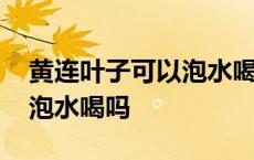 黄连叶子可以泡水喝吗有毒吗 黄连叶子可以泡水喝吗 