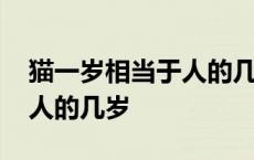 猫一岁相当于人的几岁对照表 猫一岁相当于人的几岁 