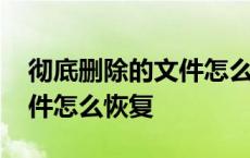 彻底删除的文件怎么恢复数据 彻底删除的文件怎么恢复 