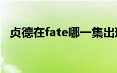 贞德在fate哪一集出现 fate贞德是哪一部 