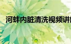 河蚌内脏清洗视频讲解 河蚌内脏清洗视频 