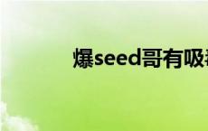 爆seed哥有吸毒吗 爆seed哥 