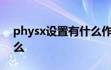 physx设置有什么作用 设置physx配置选什么 