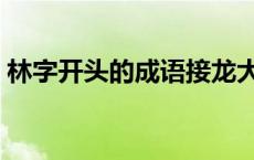 林字开头的成语接龙大全集 林字开头的成语 