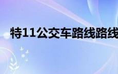 特11公交车路线路线地图 特11路公交车路线 