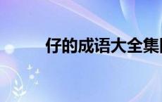 仔的成语大全集四个字 仔的成语 