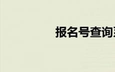 报名号查询系统 报名号 