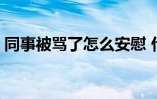 同事被骂了怎么安慰 什么人容易被同事排挤 