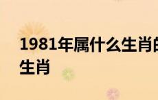 1981年属什么生肖的命多大 1981年属什么生肖 