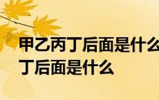 甲乙丙丁后面是什么顺序拼音怎么读 甲乙丙丁后面是什么 