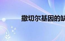 撒切尔基因的缺点 撒切尔基因 