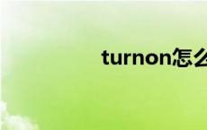 turnon怎么读 turnon 