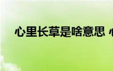 心里长草是啥意思 心里长草是什么意思 