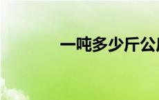 一吨多少斤公斤 一吨多少斤 