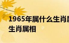 1965年属什么生肖属相几岁 1965年属什么生肖属相 