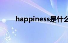 happiness是什么意思 happiness 