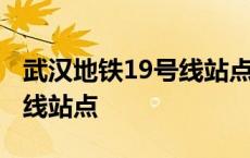 武汉地铁19号线站点规划方案 武汉地铁19号线站点 