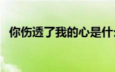 你伤透了我的心是什么歌 你伤透了我的心 