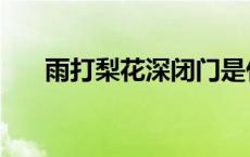 雨打梨花深闭门是什么意思 雨打梨花 