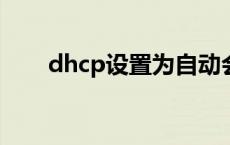 dhcp设置为自动会怎样? dhcp设置 