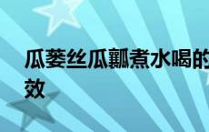 瓜蒌丝瓜瓤煮水喝的功效 丝瓜瓤煮水喝的功效 