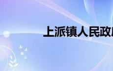 上派镇人民政府官网 上派镇 