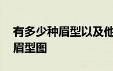 有多少种眉型以及他们的特点 一共有多少种眉型图 