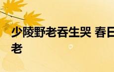 少陵野老吞生哭 春日潜行曲江曲读音 少陵野老 