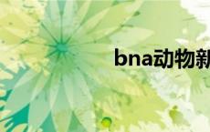 bna动物新世代 bna 