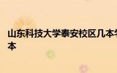 山东科技大学泰安校区几本学校 山东科技大学泰安校区是几本 