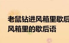 老鼠钻进风箱里歇后语打三个数字 老鼠钻进风箱里的歇后语 