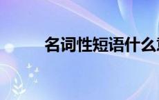 名词性短语什么意思 名词性短语 