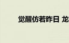 觉醒仿若昨日 龙空 觉醒仿若昨日 