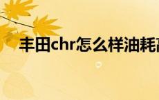 丰田chr怎么样油耗高吗 丰田chr怎么样 