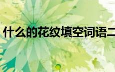 什么的花纹填空词语二年级下册 什么的花纹 