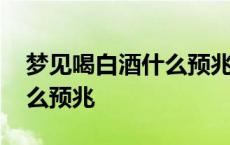 梦见喝白酒什么预兆周公解梦 梦见喝白酒什么预兆 