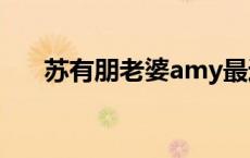 苏有朋老婆amy最近照片 苏有朋老婆 