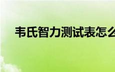 韦氏智力测试表怎么看 韦氏智力测试表 