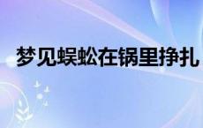 梦见蜈蚣在锅里挣扎 梦见蜈蚣在别人碗里 