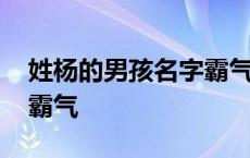 姓杨的男孩名字霸气两个字 姓杨的男孩名字霸气 