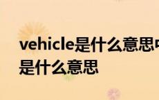 vehicle是什么意思中文翻译怎么读 vehicle是什么意思 