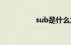 sub是什么意思 SUBS 