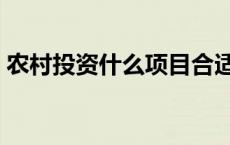 农村投资什么项目合适 农村投资什么项目好 