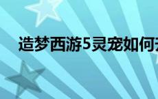 造梦西游5灵宠如何升星 造梦西游5灵宠 