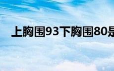 上胸围93下胸围80是多大 胸围80是多大 