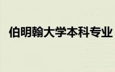 伯明翰大学本科专业 伯明翰大学专业排名 