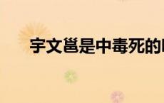 宇文邕是中毒死的吗 宇文邕怎么死的 