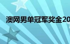 澳网男单冠军奖金2023年 澳网男单冠军奖金 