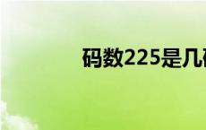 码数225是几码 225是几码 